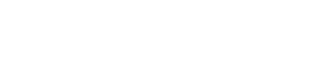 Logo - Basis 51
